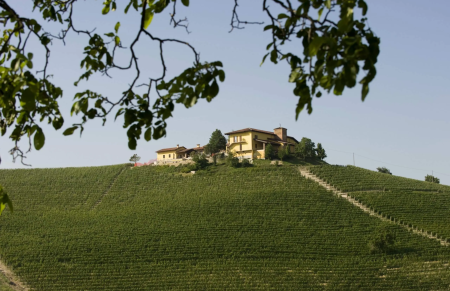 Winery on the hilltop