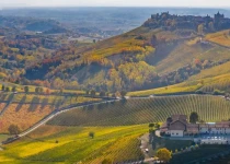 View of Ravera vineyards