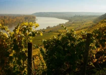 Rothenberg above the Rhine