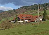 Winery below Black Forest