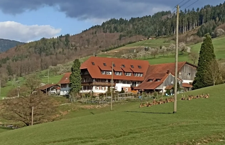 Winery below Black Forest