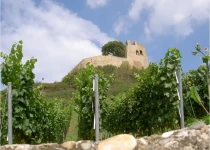 Hecklinger Schlossberg