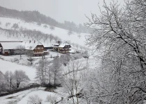Winter in Malterdingen