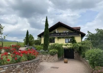 Winery in Oestrich