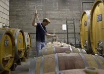 Peter Bernhard Kühn in cellar