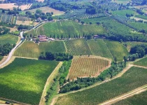 Aerial view of the estate
