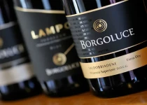 A new wave of Prosecco