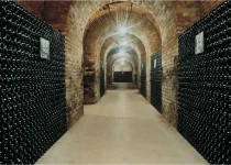 Cellars in Ay