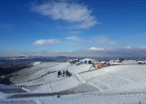 Piedmont in winter