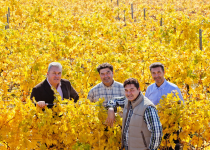 The four Castagnedi brothers