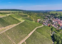 Felseneck vineyard