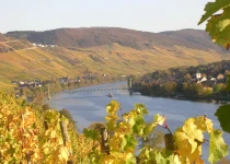Long and winding Mosel River