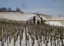 SelbGraacher Himmelreich in winterach-5