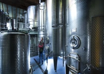 Paul Achs in his cellar