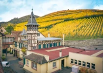 Winery in Ribeauvillé