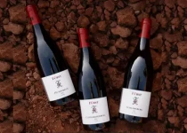 Pinot Noir in perfection